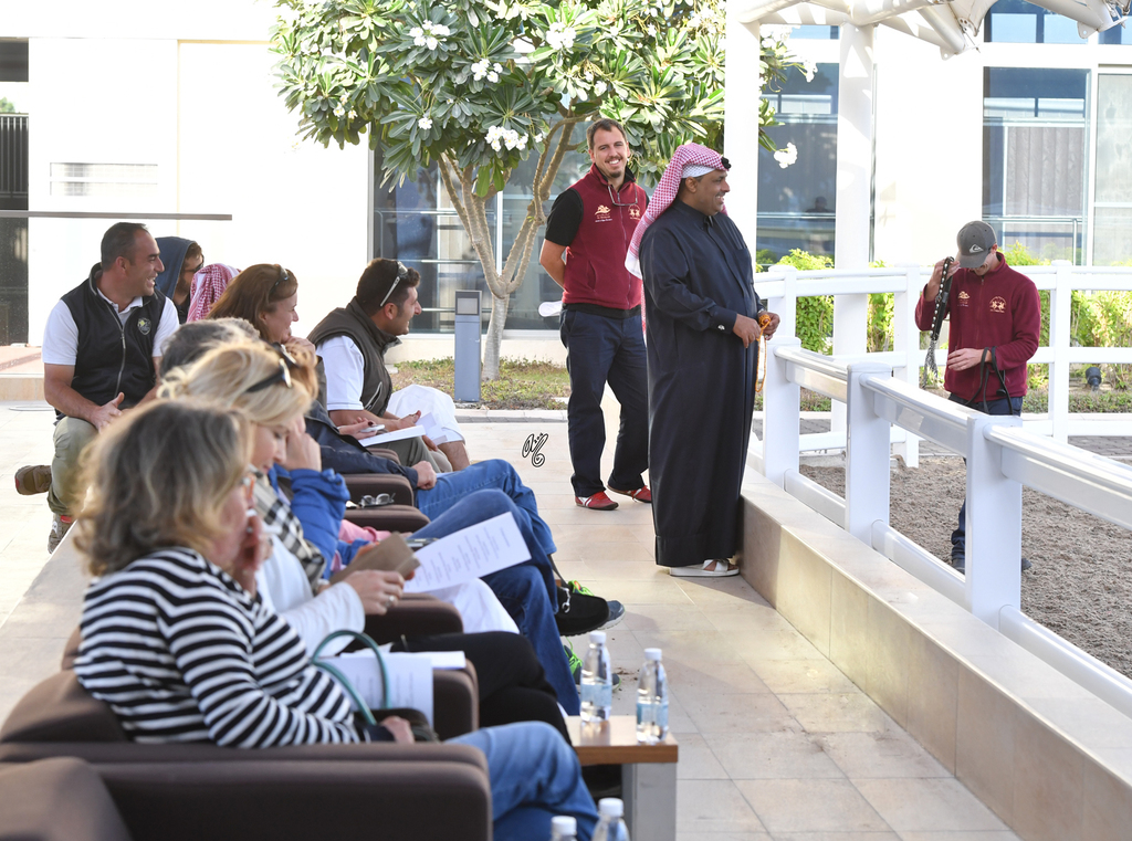 Lisa Abraham: Al Shaqab Stud: A Gathering of Friends