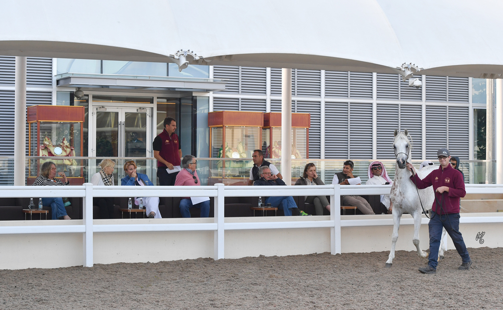 Mitchell Taff presenting WH Justice