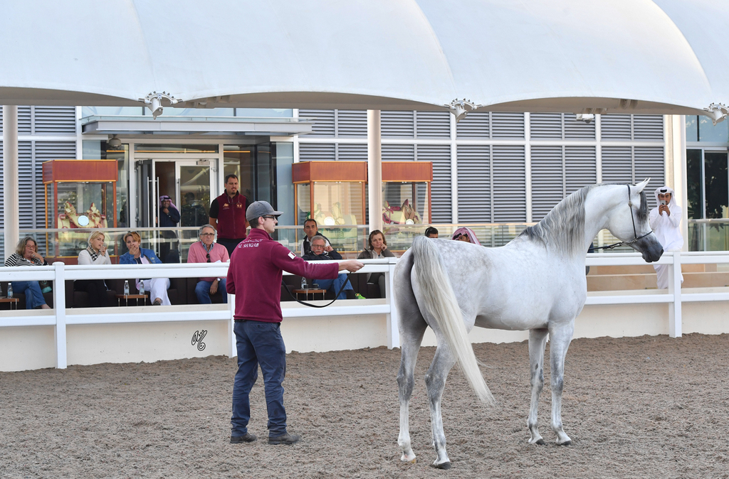 Mitchell Taff presenting S.M.A. Magic One