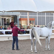 Mitchell Taff presenting S.M.A. Magic One