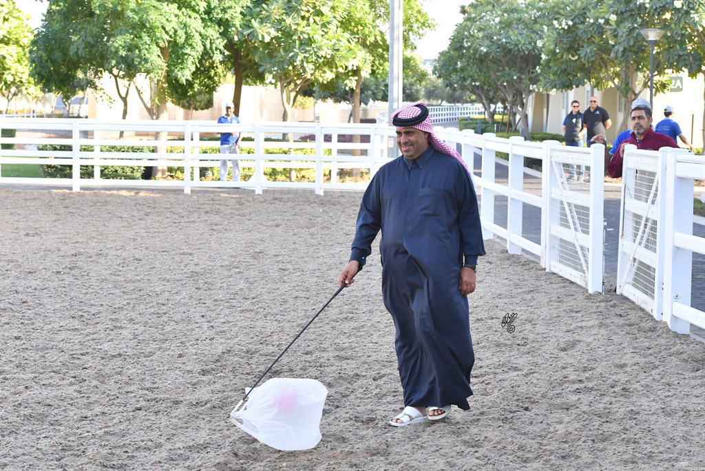 Lisa Abraham: Al Shaqab Stud: A Gathering of Friends