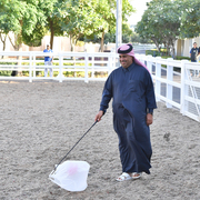 Lisa Abraham: Al Shaqab Stud: A Gathering of Friends