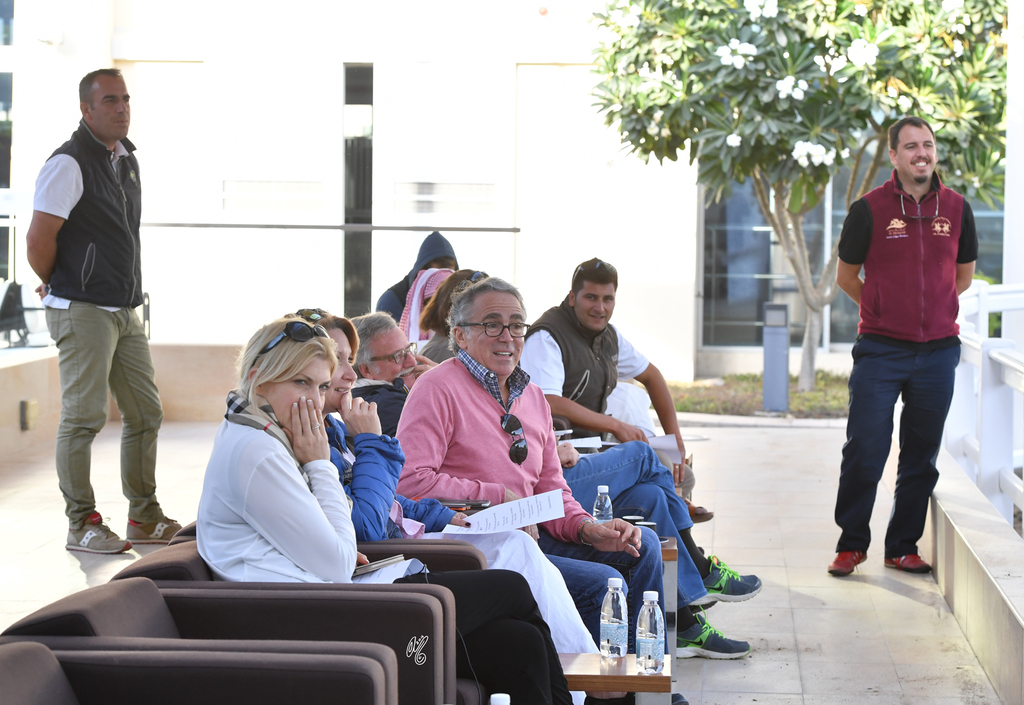 Lisa Abraham: Al Shaqab Stud: A Gathering of Friends