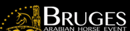 Bruges Arabian National Horse Event