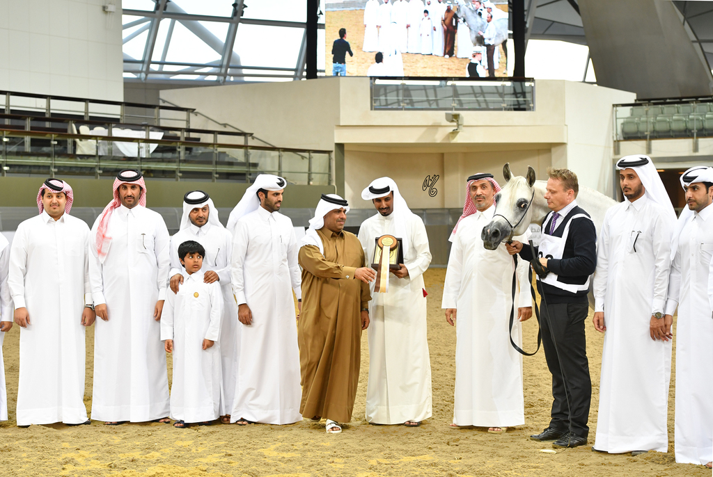 Senior Mare Gold Champion: Da Magic Moment (WH Justice X Da Enfidha)