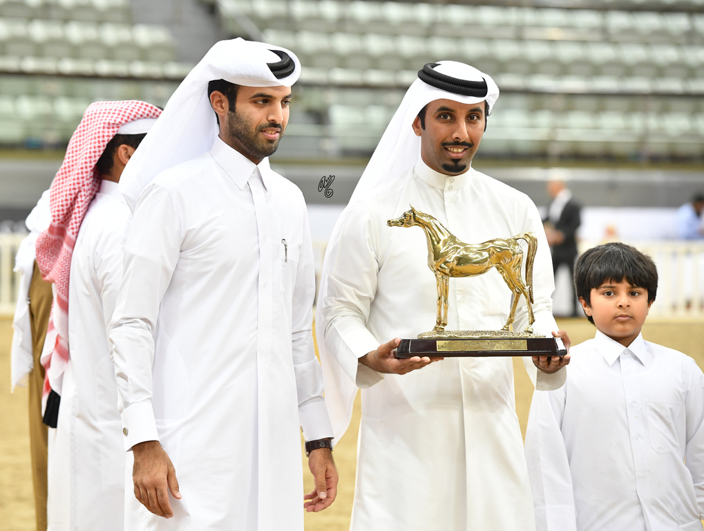 Senior Mare Gold Champion: Da Magic Moment (WH Justice X Da Enfidha)