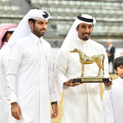 Senior Mare Gold Champion: Da Magic Moment (WH Justice X Da Enfidha)