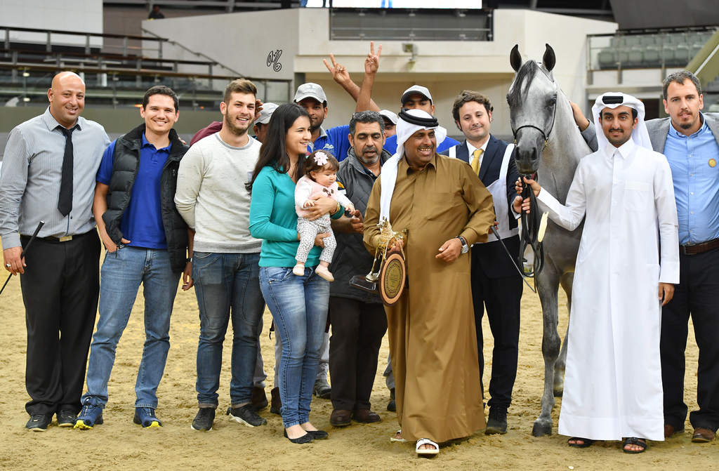 Junior Colt Gold Champion: Medan Al Shaqab (Faroud Al Shaqab X Abha Myra)