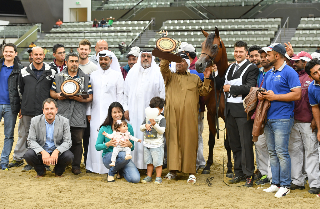 Junior Colt Bronze Champion: Baher Al Shaqab (Kahil Al Shaqab X Vanessa Al Shaqab)