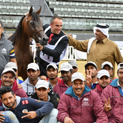 Junior Filly Gold Champion: Elluara (Khalil Al Shaqab X Ellura)