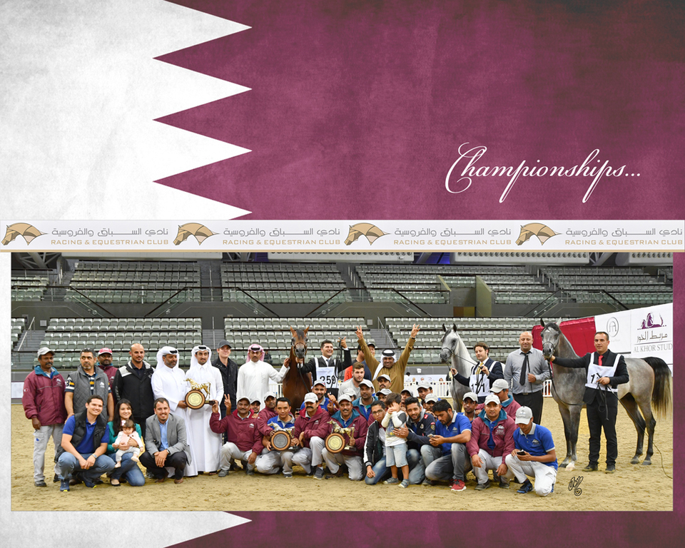 Lisa Abraham: 2016 Qatar Nationals for Purebred Arabian Horses Photo Gallery