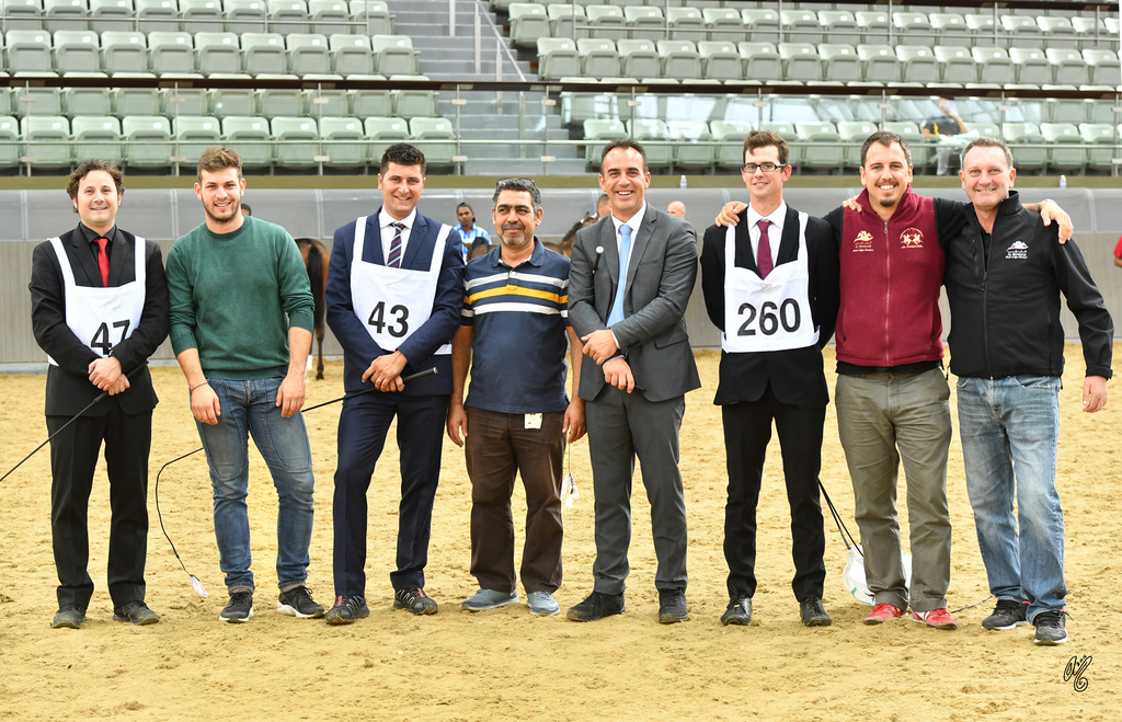 Lisa Abraham: 2016 Qatar Nationals for Purebred Arabian Horses Photo Gallery