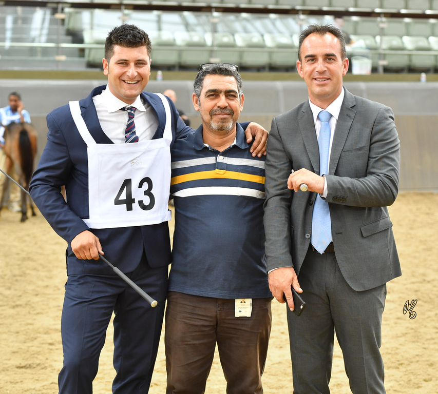 Lisa Abraham: 2016 Qatar Nationals for Purebred Arabian Horses Photo Gallery