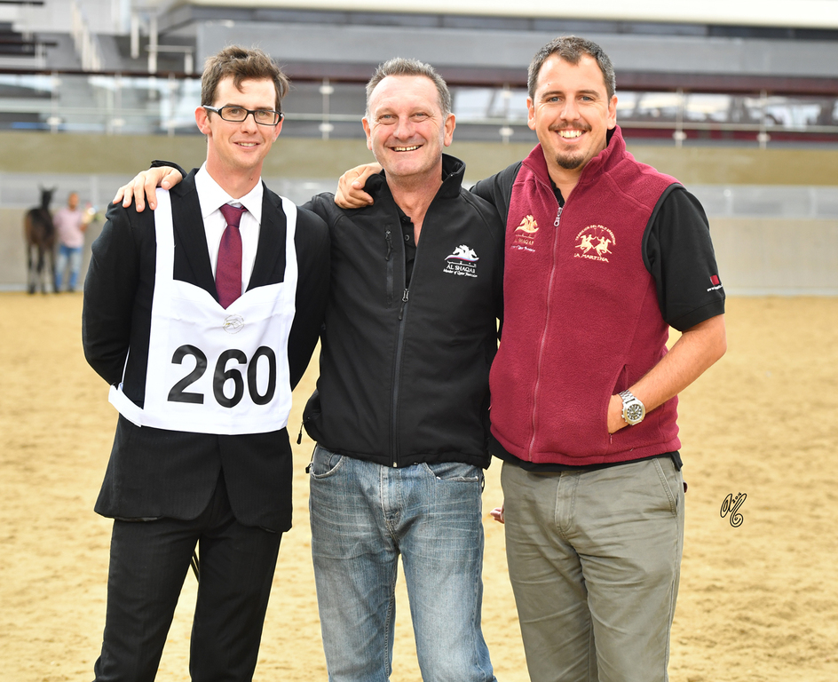 Lisa Abraham: 2016 Qatar Nationals for Purebred Arabian Horses Photo Gallery