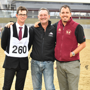 Lisa Abraham: 2016 Qatar Nationals for Purebred Arabian Horses Photo Gallery