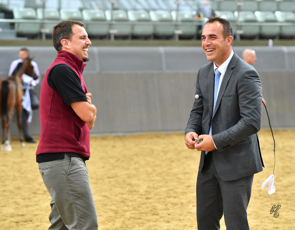 Lisa Abraham: 2016 Qatar Nationals for Purebred Arabian Horses Photo Gallery