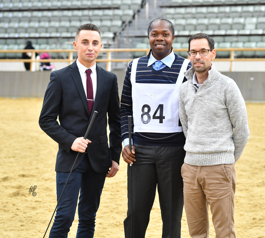 Lisa Abraham: 2016 Qatar Nationals for Purebred Arabian Horses Photo Gallery