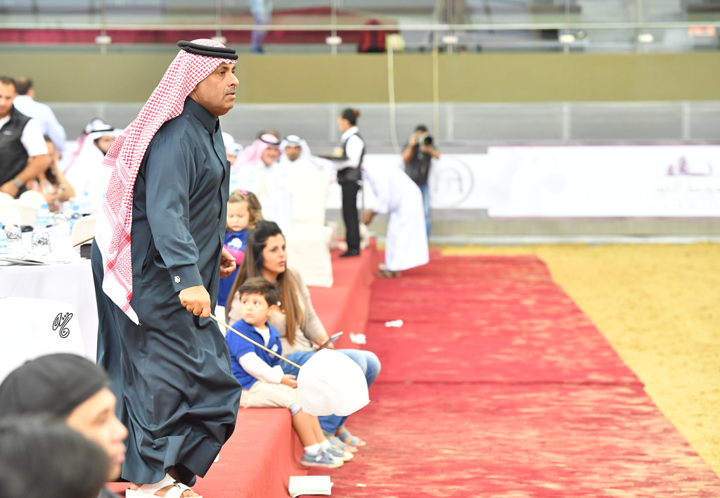 Lisa Abraham: 2016 Qatar Nationals for Purebred Arabian Horses Photo Gallery