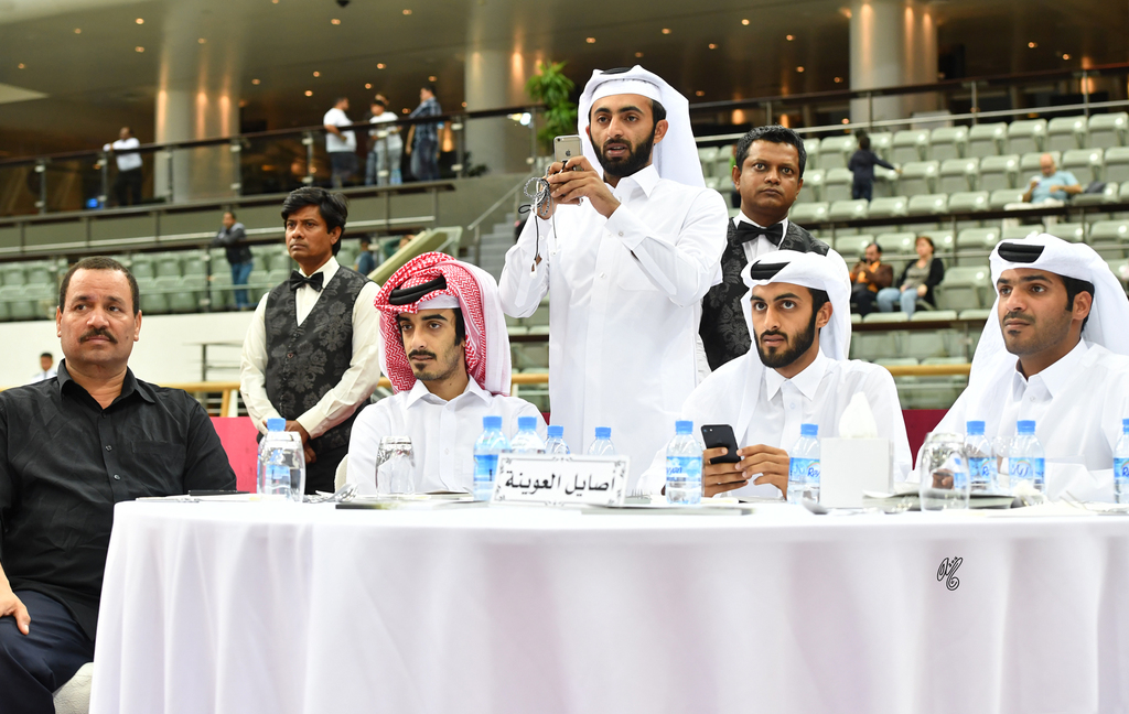 Lisa Abraham: 2016 Qatar Nationals for Purebred Arabian Horses Photo Gallery