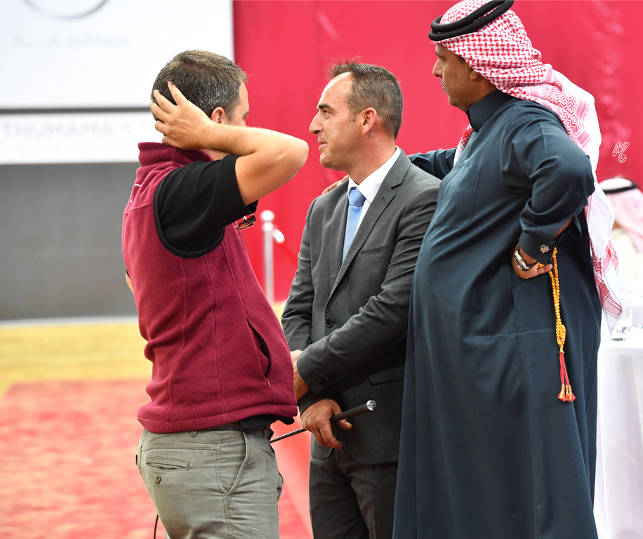 Lisa Abraham: 2016 Qatar Nationals for Purebred Arabian Horses Photo Gallery