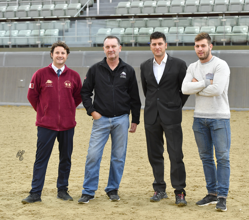 Lisa Abraham: 2016 Qatar Nationals for Purebred Arabian Horses Photo Gallery