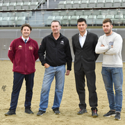 Lisa Abraham: 2016 Qatar Nationals for Purebred Arabian Horses Photo Gallery