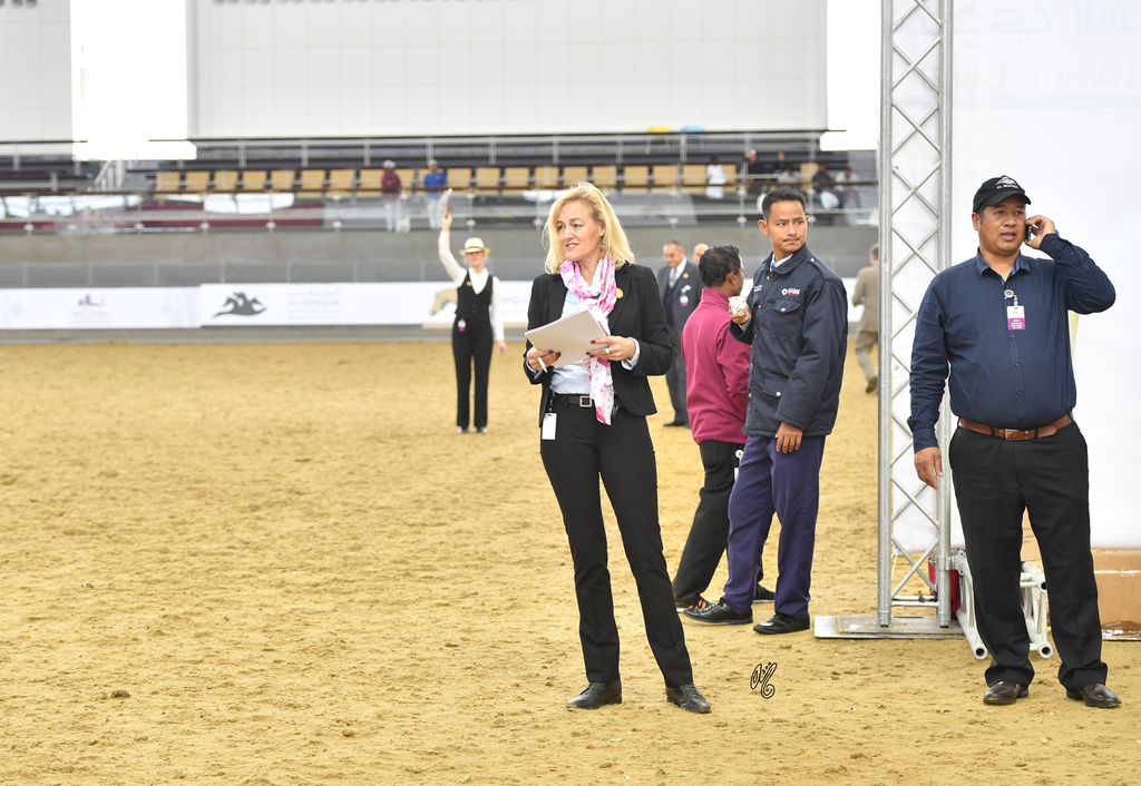 Lisa Abraham: 2016 Qatar Nationals for Purebred Arabian Horses Photo Gallery