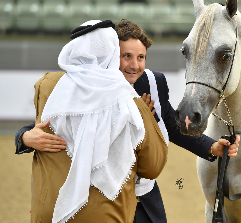 Lisa Abraham: 2016 Qatar Nationals for Purebred Arabian Horses Photo Gallery