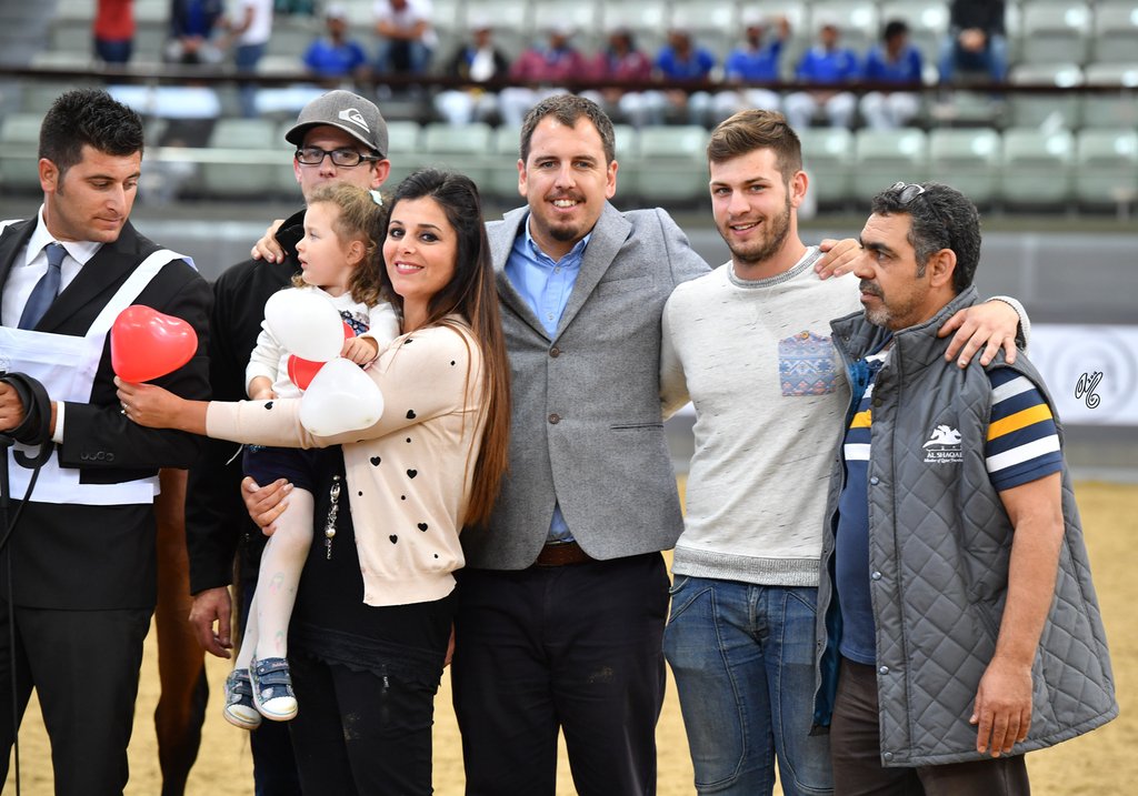 Lisa Abraham: 2016 Qatar Nationals for Purebred Arabian Horses Photo Gallery