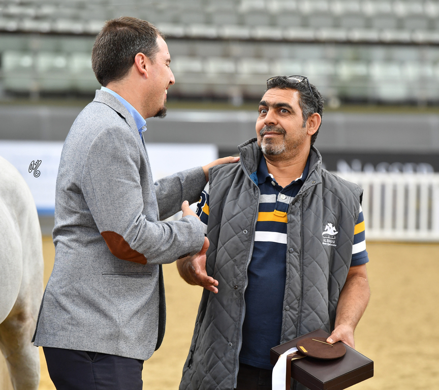 Lisa Abraham: 2016 Qatar Nationals for Purebred Arabian Horses Photo Gallery