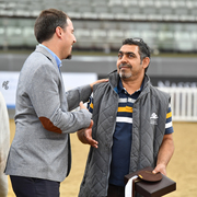 Lisa Abraham: 2016 Qatar Nationals for Purebred Arabian Horses Photo Gallery