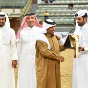 Lisa Abraham: 2016 Qatar Nationals for Purebred Arabian Horses Photo Gallery