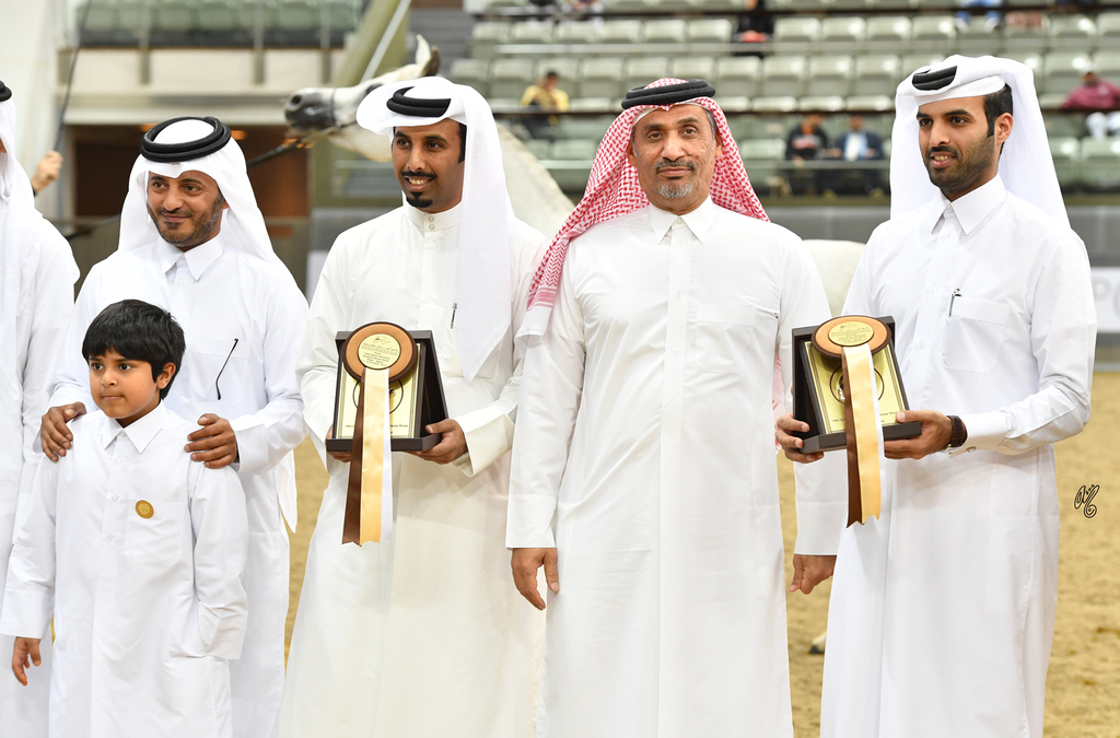 Lisa Abraham: 2016 Qatar Nationals for Purebred Arabian Horses Photo Gallery