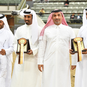 Lisa Abraham: 2016 Qatar Nationals for Purebred Arabian Horses Photo Gallery