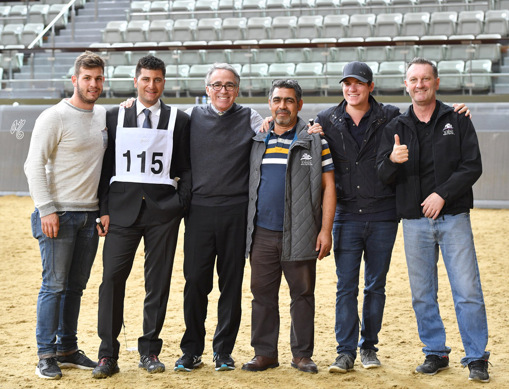 Lisa Abraham: 2016 Qatar Nationals for Purebred Arabian Horses Photo Gallery