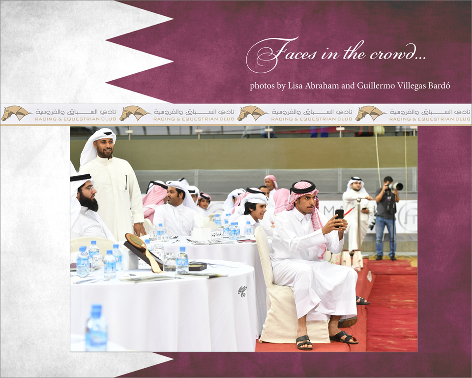 Lisa Abraham: 2016 Qatar Nationals for Purebred Arabian Horses Photo Gallery