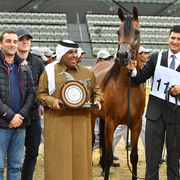 Junior Filly Silver Champion: Empuza (Kahil Al Shaqab X AJ Mashkora)