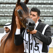 Junior Filly Silver Champion: Empuza (Kahil Al Shaqab X AJ Mashkora)