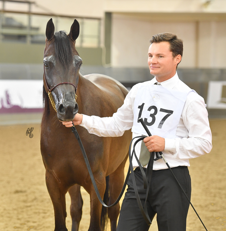 Al Jazeera: 3 Year Old Filly