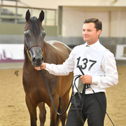 Al Jazeera: 3 Year Old Filly