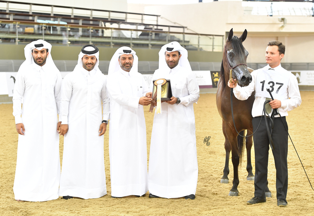 Al Jazeera: 3 Year Old Filly