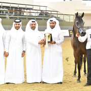 Al Jazeera: 3 Year Old Filly