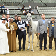 Moneer Al Shaqab: 2 Year Old Colt
