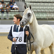 Moneer Al Shaqab: 2 Year Old Colt