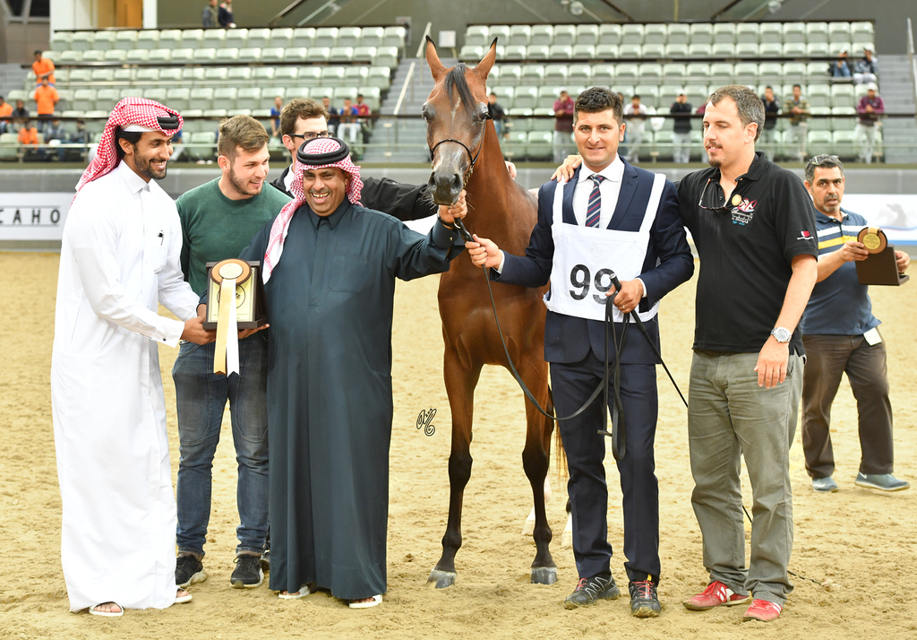 Wahat Al Shaqab: 2 Year Old Filly
