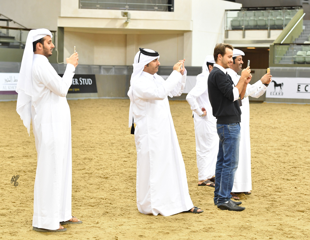 Lisa Abraham: 2016 Qatar Nationals for Purebred Arabian Horses Photo Gallery