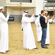 Lisa Abraham: 2016 Qatar Nationals for Purebred Arabian Horses Photo Gallery