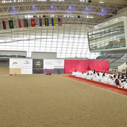 Lisa Abraham: 2016 Qatar Nationals for Purebred Arabian Horses Photo Gallery