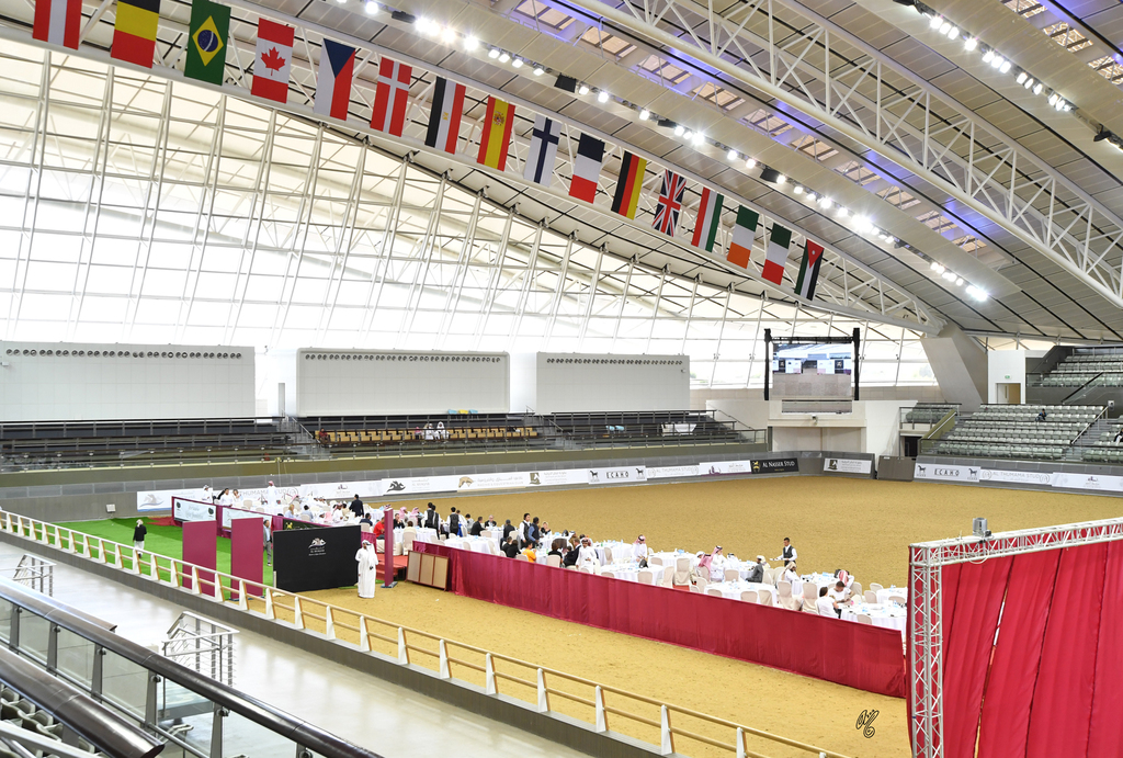 Lisa Abraham: 2016 Qatar Nationals for Purebred Arabian Horses Photo Gallery