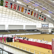 Lisa Abraham: 2016 Qatar Nationals for Purebred Arabian Horses Photo Gallery